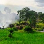 Littérature/ D’Houphouët à Ouattara: ‘’Cinq destins au terminus’’, un livre sur les 5 dirigeants de la Côte d’Ivoire