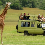 Tourisme africain: ça bouge!